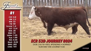 Lot #81 - ECR 53D JOURNEY 8024