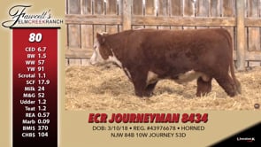 Lot #80 - ECR JOURNEYMAN 8434
