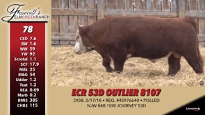 Lot #78 - ECR 53D OUTLIER 8107