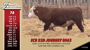 Lot #76 - ECR 53D JOURNEY 8063 OUT