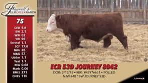 Lot #75 - ECR 53D JOURNEY 8042