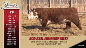 Lot #74 - ECR 53D JOURNEY 8017
