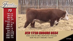 Lot #73 - ECR 173D ENDURE 8554
