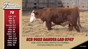 Lot #70 - ECR 9022 DAKOTA LAD 8747