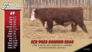 Lot #69 - ECR 9022 DOMINO 8564