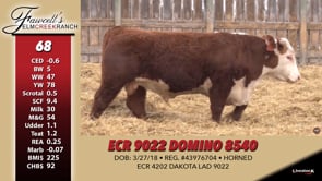 Lot #68 - ECR 9022 DOMINO 8540