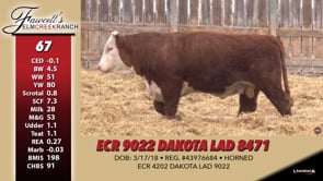 Lot #67 - ECR 9022 DAKOTA LAD 8471