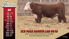 Lot #66 - ECR 9022 DAKOTA LAD 8410