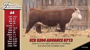 Lot #64 - ECR 5204 ADVANCE 8713