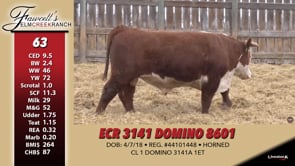 Lot #63 - ECR 3141 DOMINO 8601