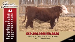 Lot #62 - ECR 394 DOMINO 8630