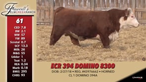Lot #61 - ECR 394 DOMINO 8300