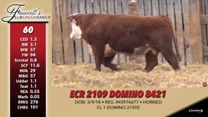 Lot #60 - ECR 2109 DOMINO 8421