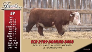 Lot #59 - ECR 2109 DOMINO 8408