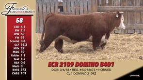 Lot #58 - ECR 2109 DOMINO 8401