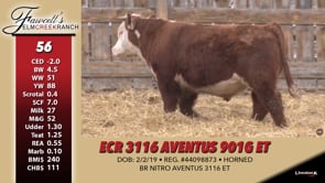 Lot #56 - ECR 3116 AVENTUS 901G ET