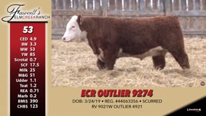 Lot #53 - ECR OUTLIER 9247