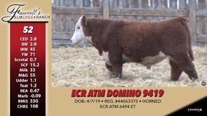 Lot #52 - ECR ATM DOMINO 9419