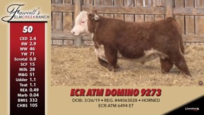Lot #50 - ECR ATM DOMINO 9273