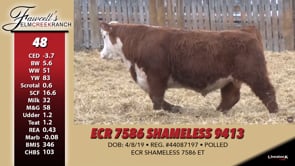 Lot #48 - ECR 7586 SHAMELESS 9413