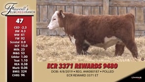 Lot #47 - ECR 3371 REWARDS 9480