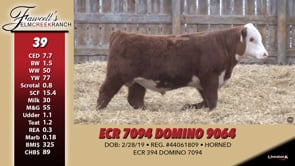 Lot #39 - ECR 7094 DOMINO 9064