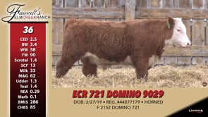 Lot #36 - ECR 721 DOMINO 9029