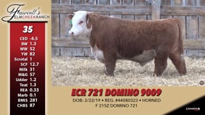 Lot #35 - ECR 721 DOMINO 9009