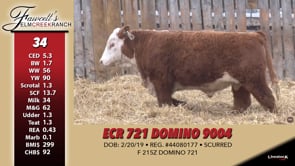 Lot #34 - ECR 721 DOMINO 9004