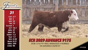 Lot #31 - ECR 2029 ADVANCE 9175