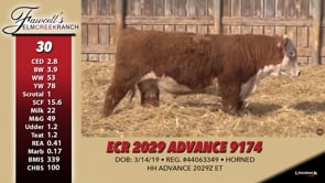 Lot #30 - ECR 2029 ADVANCE 9174