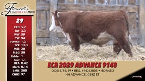 Lot #29 - ECR 2029 ADVANCE 9148
