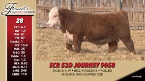 Lot #28 - ECR 53D JOURNEY 9058