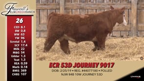 Lot #26 - ECR 53D JOURNEY 9017