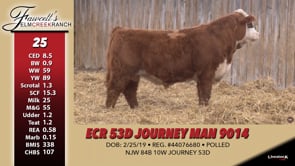 Lot #25 - ECR 53D JOURNEY MAN 9014