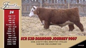 Lot #24 - ECR  53D DIAMOND JOURNEY 9007