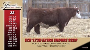 Lot #22 - ECR 173D EXTRA ENDURE 9229