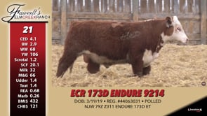 Lot #21 - ECR 173D ENDURE 9214