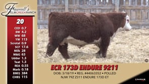 Lot #20 - ECR 173D ENDURE 9211
