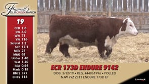 Lot #19 - ECR 173D ENDURE 9142