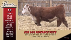 Lot #18 - ECR 628 ADVANCE 9278
