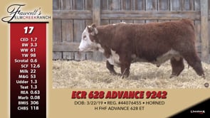 Lot #17 - ECR 628 ADVANCE 9242