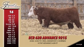 Lot #16 - ECR 628 ADVANCE 9215