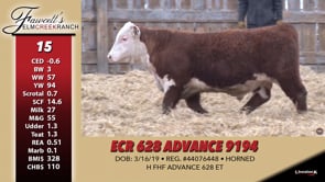 Lot #15 - ECR 628 ADVANCE 9194