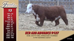 Lot #13 - ECR 628 ADVANCE 9127