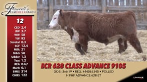 Lot #12 - ECR 628 CLASS ADVANCE 9105