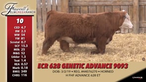 Lot #10 - ECR 628 GENETIC ADVANCE 9093