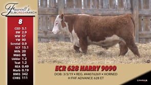 Lot #8 - ECR 628 HARRY 9090