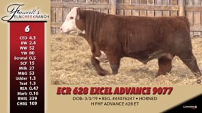Lot #6 - ECR 628 EXCEL ADVANCE 9077