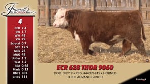 Lot #4 - ECR 628 THOR 9060